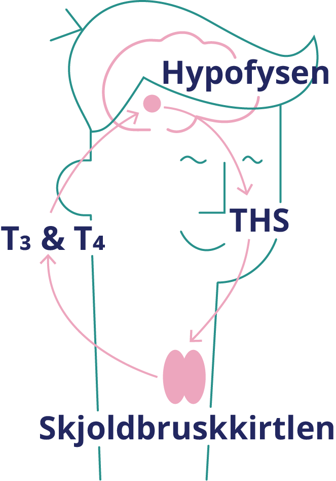 head-drawing