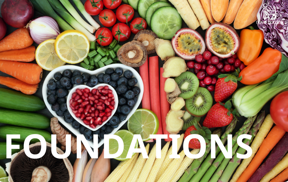 Foundations of Healthy Eating