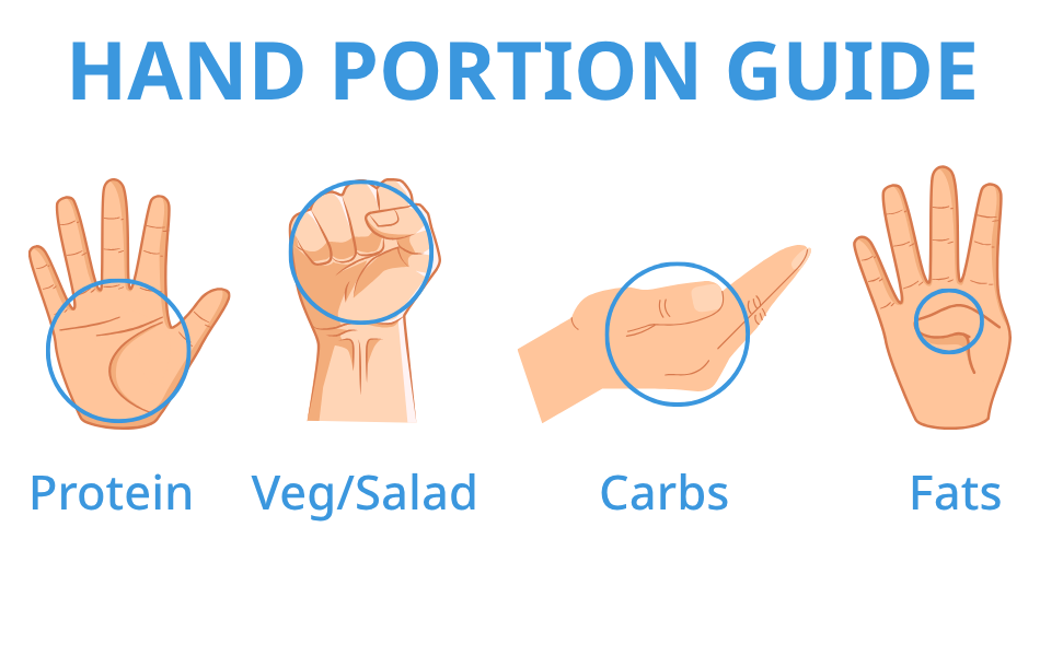 Hand Portion guide
