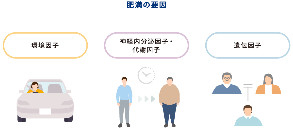 肥満の要因　環境因子、神経内分泌因子・代謝因子、遺伝因子