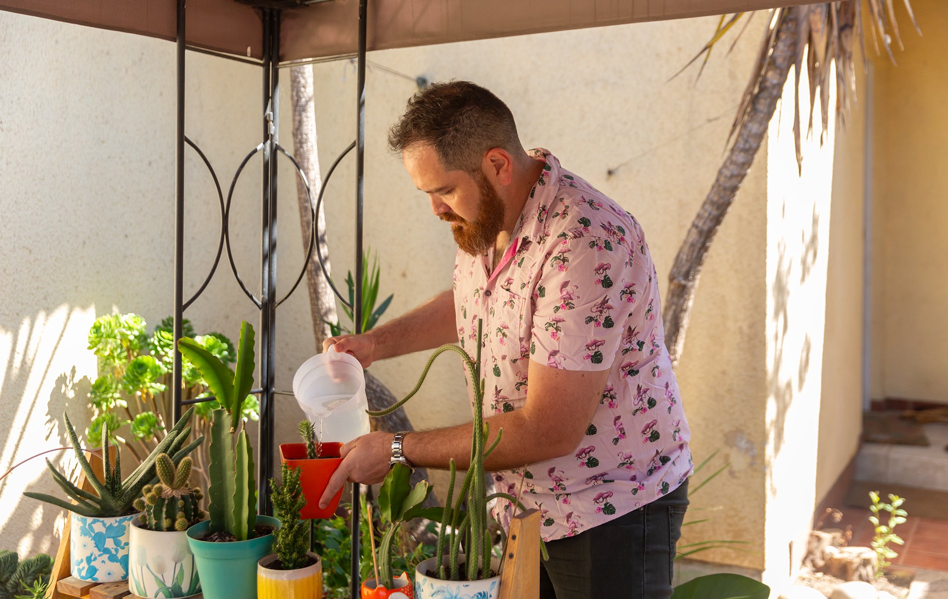 choose a scientifically proven diet for obesity treatment